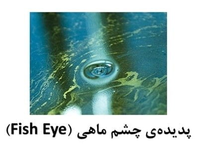 fish eye min